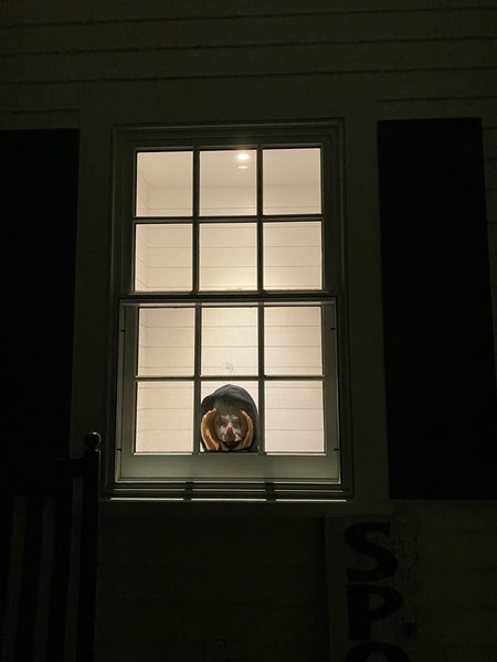 The voyeur who greeted Halloween