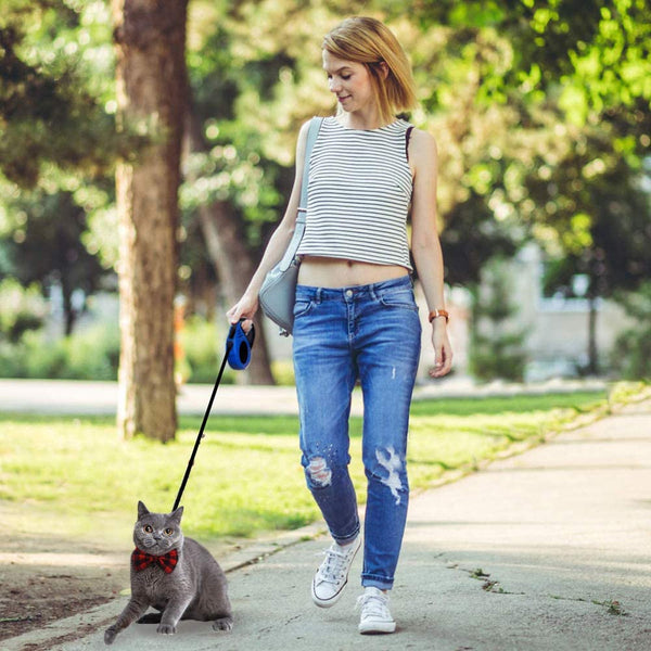 All-In-One Leash