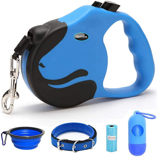 All-In-One Leash