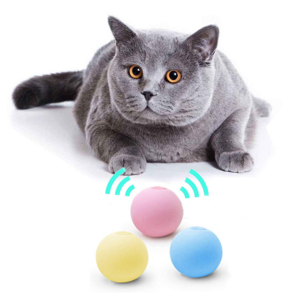 Balle interactive Smart Cat Toys